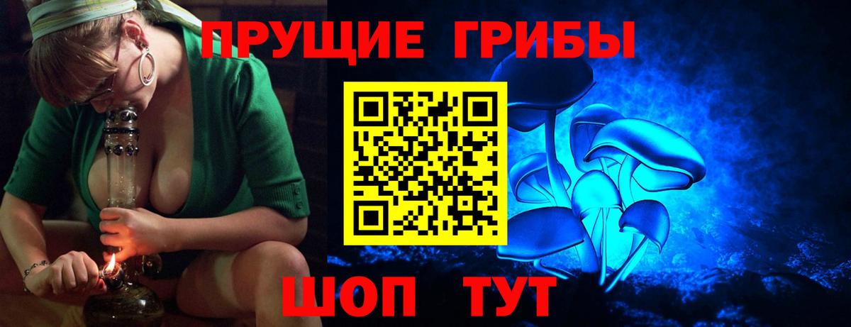 Галлюциногенные грибы Psilocybe Славгород